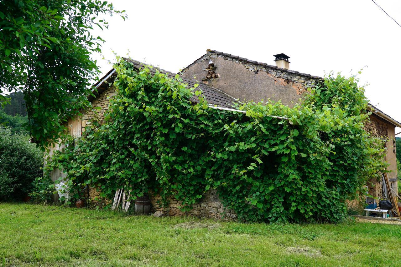 La Prairie Villa Siorac-en-Perigord Exterior photo
